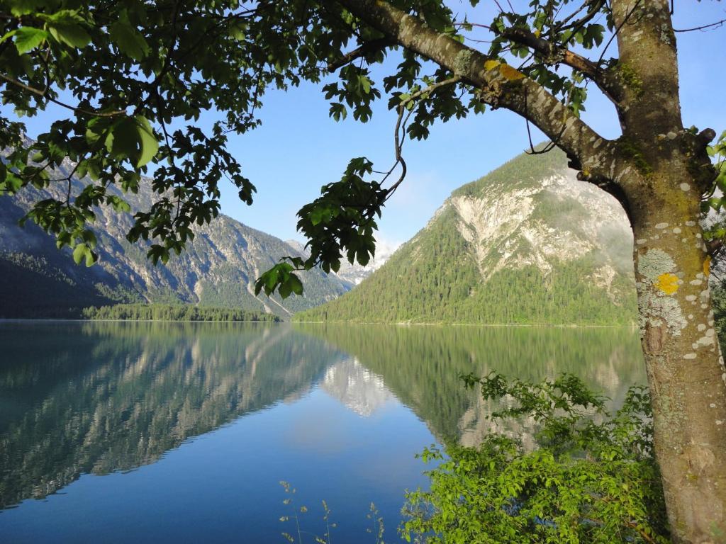 Alpenhotel Ammerwald Reuthe Esterno foto